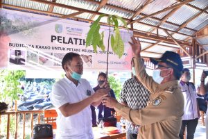 Wabup Sintang Apresiasi Pembudidayaan Tanaman Kakao