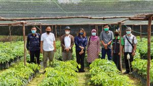 Wabup Sudiyanto Dampingi Kunker Anggota Komisi IV DPR RI Dapil Kalbar