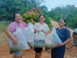 DPRD Sintang Dorong Pemberdayaan Ekonomi Lewat Bantuan Bibit dan Pakan Lele untuk Warga Nanga Tikan